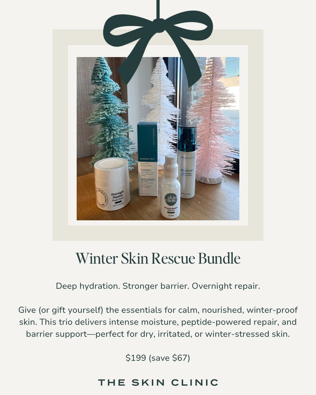 Winter Skin Rescue Bundle